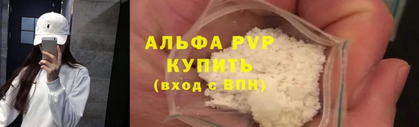 твердый Сураж