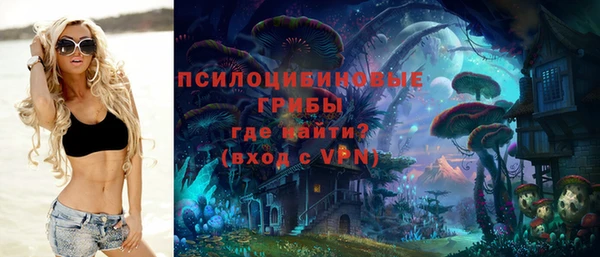 а пвп мука Няндома