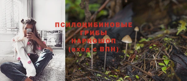 а пвп мука Няндома